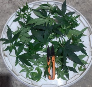 20230813_143511.jpg 20230813_143511.jpg