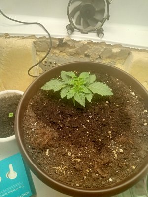 IMG20230817144027.jpg IMG20230817144027.jpg