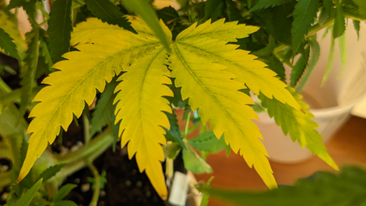 1692510730470.png 1692510730470.png