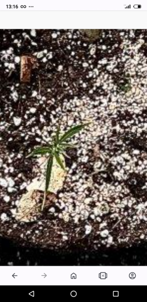 S30820-131614.png S30820-131614.png