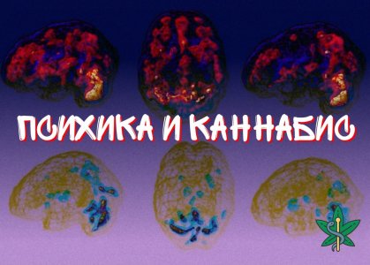 f902d3f139ddc7f77d74c.jpg f902d3f139ddc7f77d74c.jpg