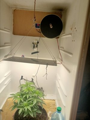 IMG20230831201135.jpg IMG20230831201135.jpg