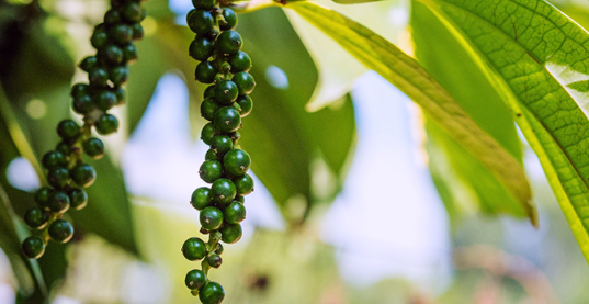 1693511933127.png 1693511933127.png