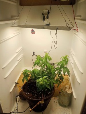 IMG20230905142959.jpg IMG20230905142959.jpg