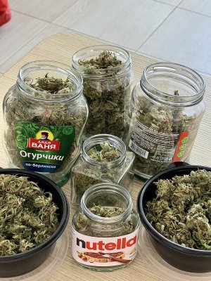 IMG_4650.jpeg IMG_4650.jpeg