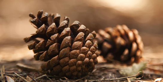 1694686125169.png 1694686125169.png