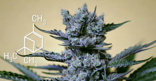 1694686156528.png 1694686156528.png