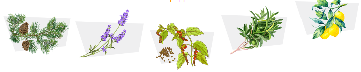 1694686190833.png 1694686190833.png