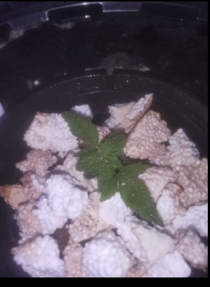 653D54D2-5253-4956-A8A9-8B7663306C95.jpeg 653D54D2-5253-4956-A8A9-8B7663306C95.jpeg