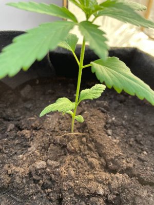 photo_2023-09-19_13-45-59 (2).jpg