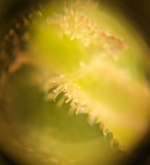 1695622599486.png 1695622599486.png