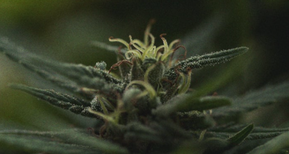 1697711402770.png 1697711402770.png