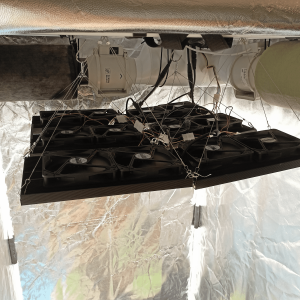 1697750116797.png 1697750116797.png