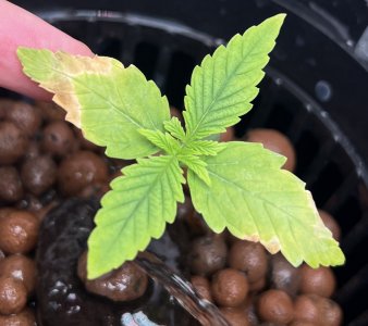 IMG_5766.jpeg IMG_5766.jpeg