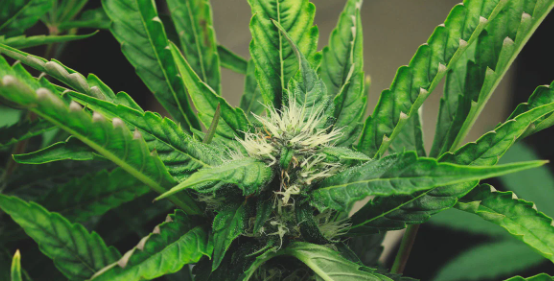 1698064201992.png 1698064201992.png