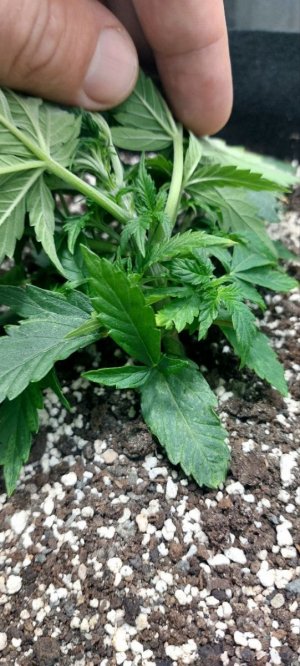 2023.10.24 - 20 день(2).jpg