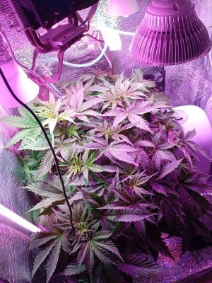 index2.jpg index2.jpg