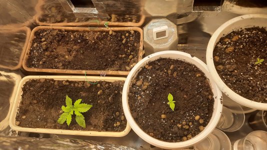 20211122_002024.jpg 20211122_002024.jpg