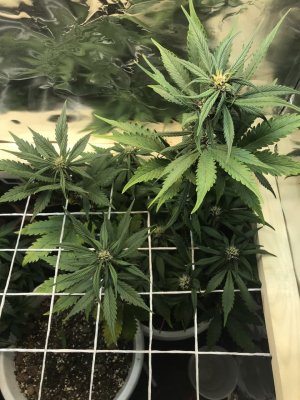 photo_2022-01-04_20-32-28.jpg photo_2022-01-04_20-32-28.jpg