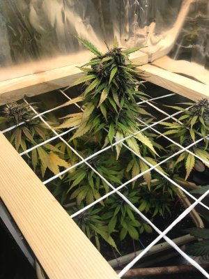 photo_2022-01-04_20-29-34.jpg photo_2022-01-04_20-29-34.jpg