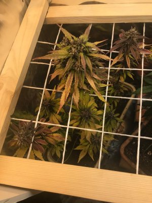 photo_2022-01-04_20-30-03.jpg photo_2022-01-04_20-30-03.jpg