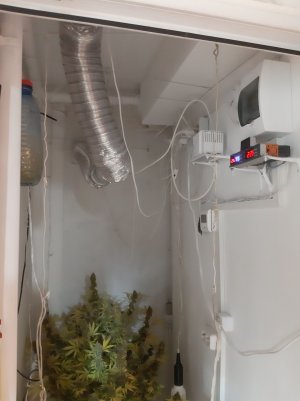 20220122_195518.jpg 20220122_195518.jpg