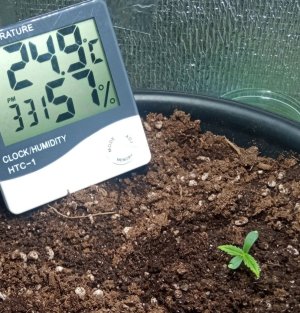 12_copy_904x941.jpg 12_copy_904x941.jpg