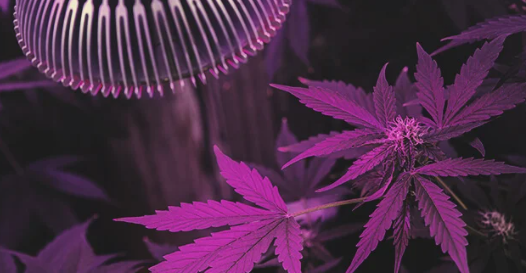 1699970338769.png 1699970338769.png