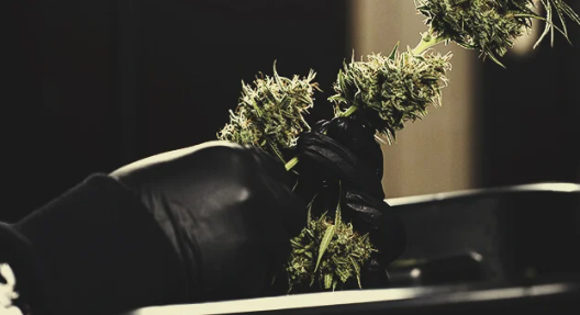 1699970364313.png 1699970364313.png