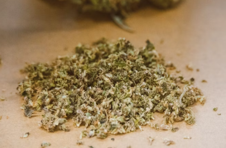 1700830198841.png 1700830198841.png