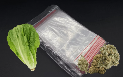 1700830332591.png 1700830332591.png