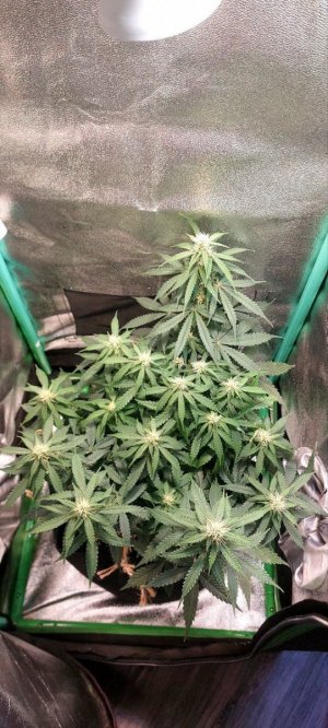 2023.11.25 - 52 день(компот) (5).jpg