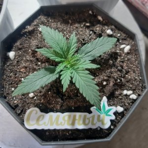 20231201_211327.jpg 20231201_211327.jpg