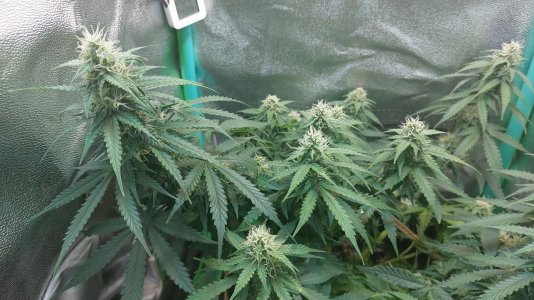 2023.12.03 - 60 день.jpg