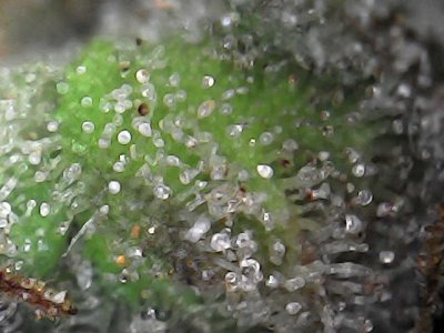 Photo_2023-12-20 17_27_54_149.JPG