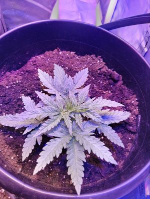 photo1705326104 (2).jpeg