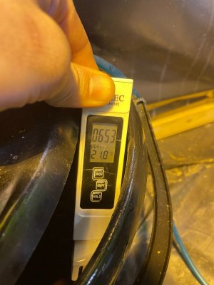 Замер первого растения 1.jpeg