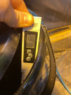 Замер первого растения 2.jpeg