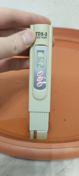 1000007981.jpg 1000007981.jpg