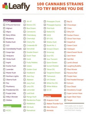 Screenshot_20240215_024555_Drive.jpg Screenshot_20240215_024555_Drive.jpg