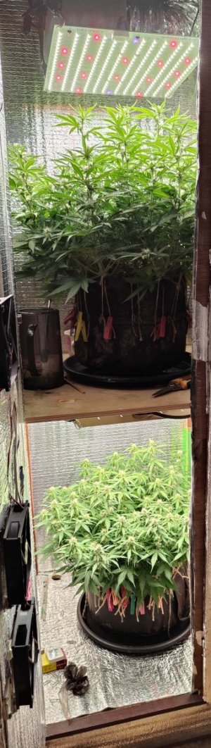 Общий план.jpg