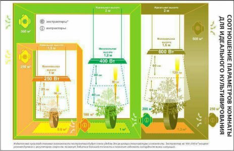 IMG_20240217_150511_210.jpg IMG_20240217_150511_210.jpg