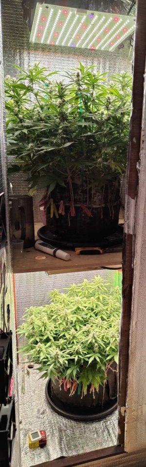 Общий план.jpg