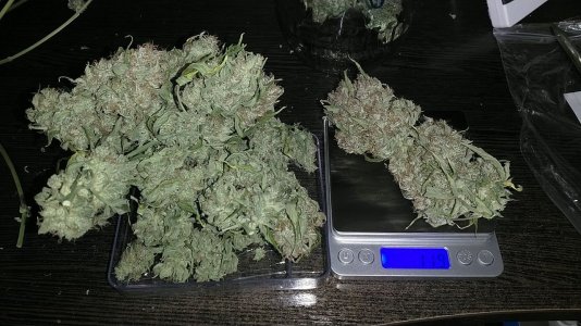 IMG_20220202_162358_608.jpg IMG_20220202_162358_608.jpg