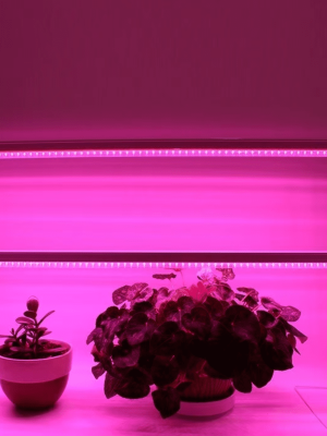 загруженное (1).png