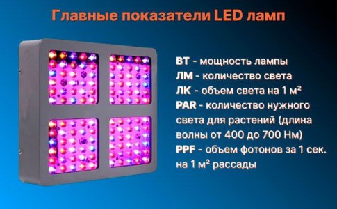 Принцип работы фитоламп Принцип работы фитоламп