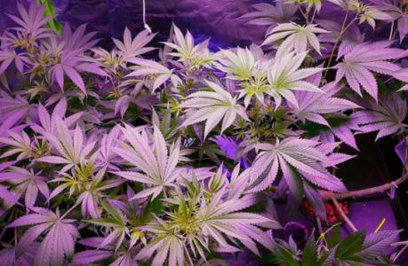 1645016259104.png 1645016259104.png