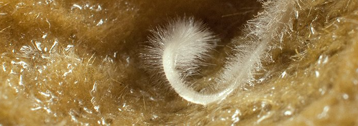 1645016499096.png 1645016499096.png