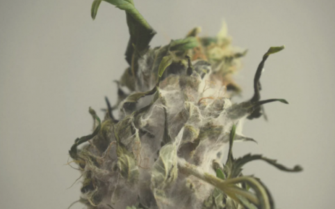 1645123488596.png 1645123488596.png