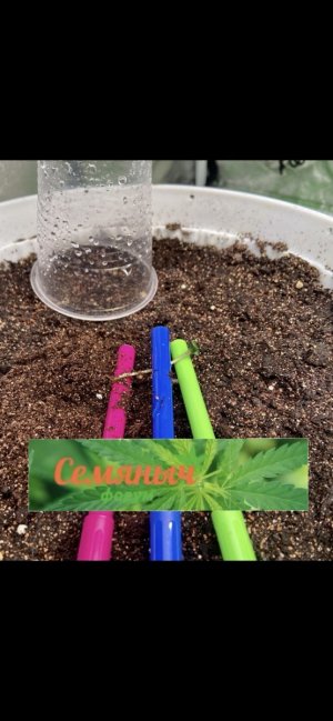 1 день (31.01.24).jpeg 1 день (31.01.24).jpeg